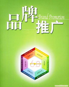 黑蜘蛛插秧機(jī)量身定方案 解決品牌捉襟見(jiàn)肘現(xiàn)狀