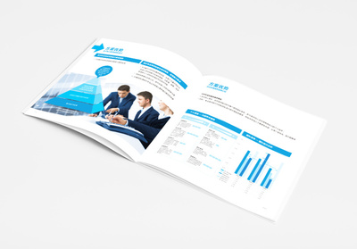 上海IDB企業(yè)管理咨詢宣傳冊(cè)設(shè)計(jì)