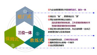 淺談為什么管理咨詢在企業不能落地